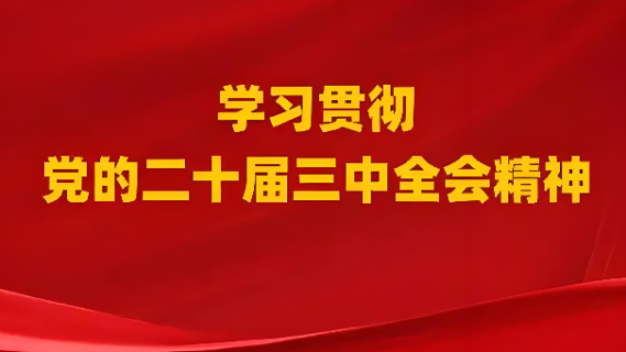 党的二十届三中全会精神解读