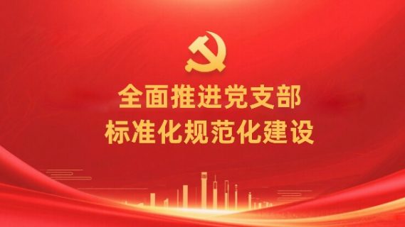 《全面推进党支部标准化规范化建设》